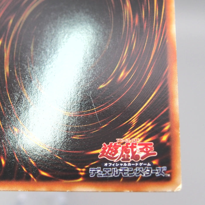 Image #10