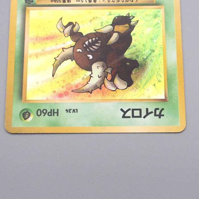 Pokemon Card Pinsir Lv.24 No.127 Old Back Holo Rare Near MINT Japanese r962 Pokemon Card Pinsir Lv.24 No.127 Old Back Holo Rare Near MINT Japanese r962