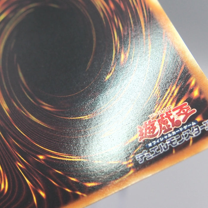 Image #10