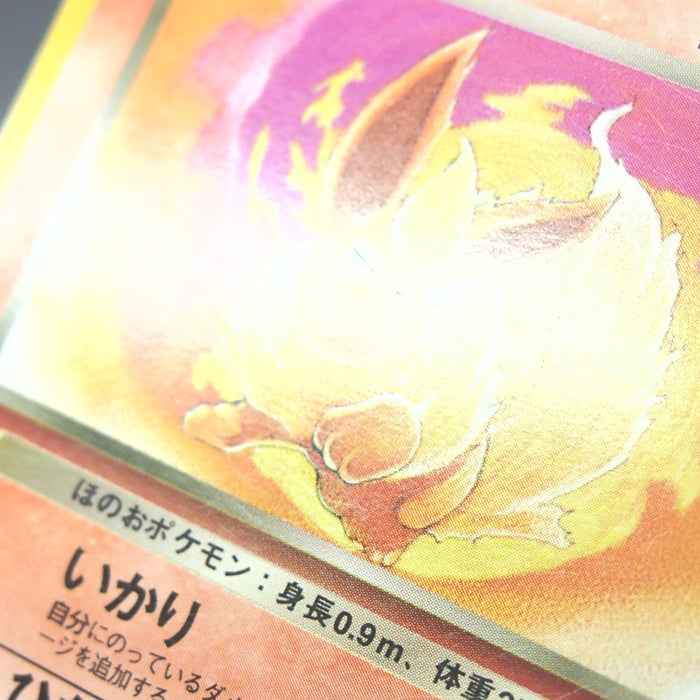 Image #12