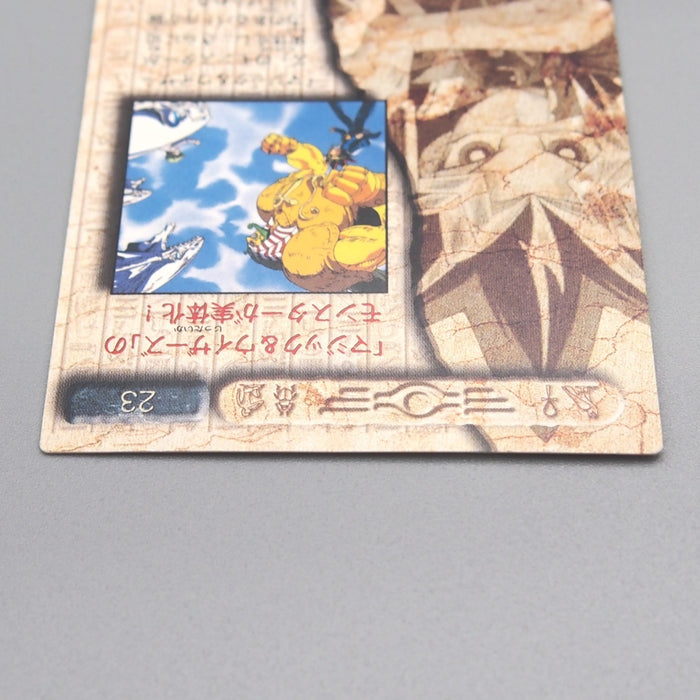 Image #5