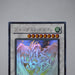 Yu-Gi-Oh yugioh Stardust Dragon TDGS-JP040 Holo Rare Ghost EX-VG Japanese j816 | Merry Japanese TCG Shop