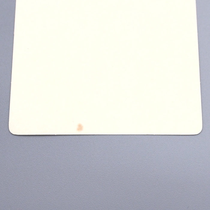 Pokemon Card Spring 2021 Sword Shield Sticker Seal Pikachu NM-EX Japanese s355 | Merry Japanese TCG Shop