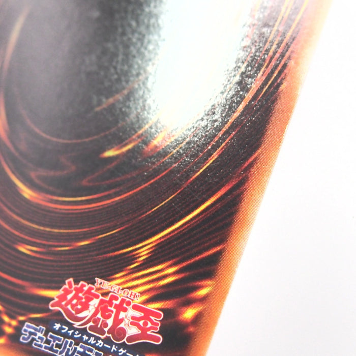 Image #12