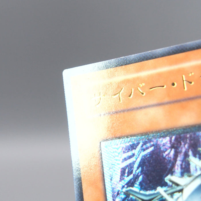 Image #7