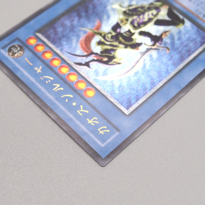 Image #8