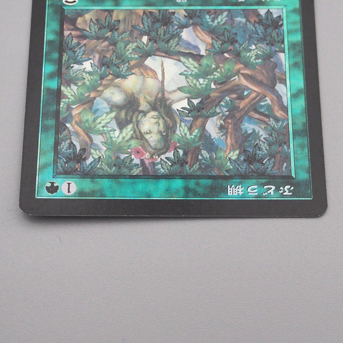 MTG Magic the Gathering Vine Trellis 285/350 Foil NM-EX 1999 Japanese s731 | Merry Japanese TCG Shop