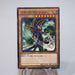 Yu-Gi-Oh yugioh Dark Magician SDMY-JP010 Parallel Rare NM-EX Japanese i872 | Merry Japanese TCG Shop