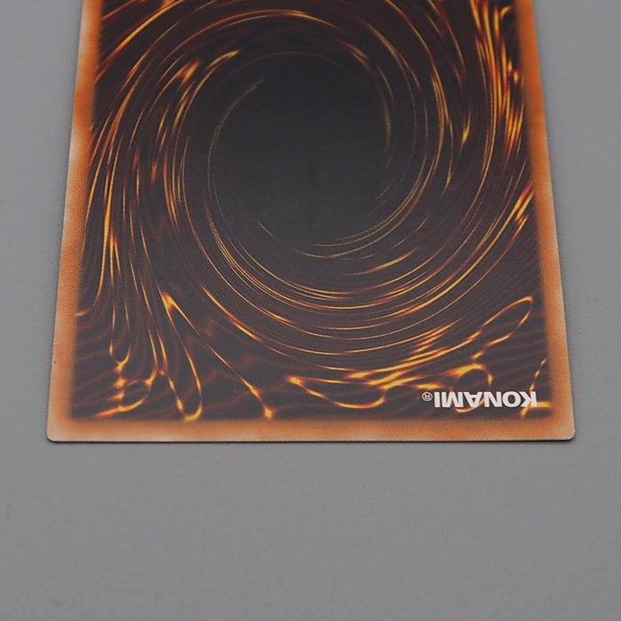 Yu-Gi-Oh Dark Magician Girl 20TH-JPC55 Secret Rare 2019 MINT-NM Japanese n411 | Merry Japanese TCG Shop