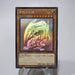 Yu-Gi-Oh Blue Eyes White Dragon 20AP-JP000 Ghost Parallel NM Japanese j509 | Merry Japanese TCG Shop