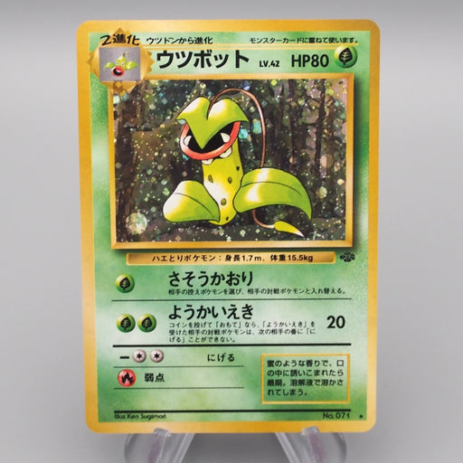 Pokemon Card Victreebel Lv.42 No.071 Old Back Holo Rare NM Japanese r957 | Merry Japanese TCG Shop