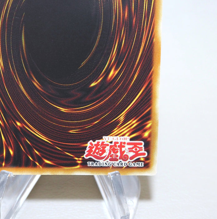 Image #10