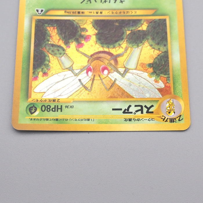 Pokemon Card Beedrill Lv.36 No.015 Old Back Holo Rare NM Japanese s009 | Merry Japanese TCG Shop