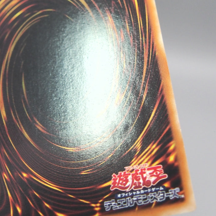 Image #12