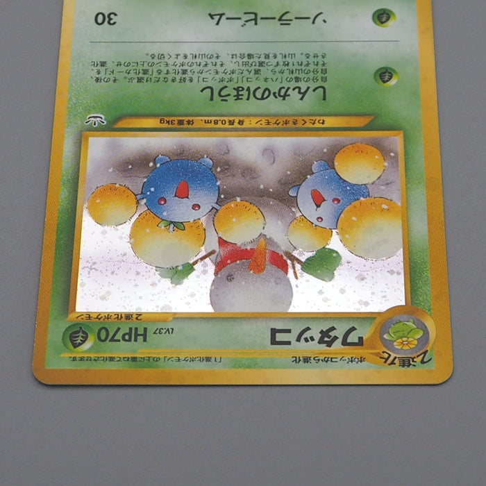 Pokemon Card Jumpluff Lv.37 No.189 Old Back Holo 2000 Nintendo Japanese q253 | Merry Japanese TCG Shop