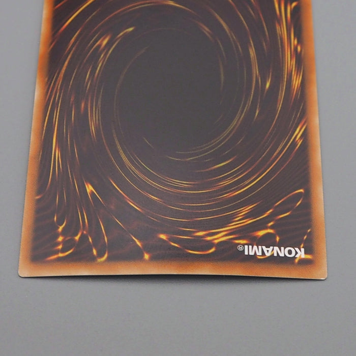 Yu-Gi-Oh Dark Rebellion Xyz Dragon NECH-JP053 Ghost Rare MINT-NM Japanese q783 | Merry Japanese TCG Shop