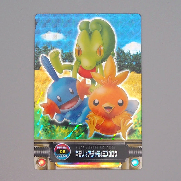 Pokemon Card Zukan Carddass Treecko Torchic Mudkip 05 Prism NM-EX Japanese n732 | Merry Japanese TCG Shop