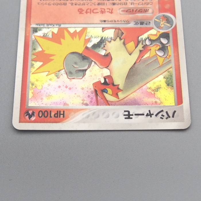 Pokemon Card Blaziken 011/055 Holo Rare 2003 NM-EX Japanese s942 | Merry Japanese TCG Shop
