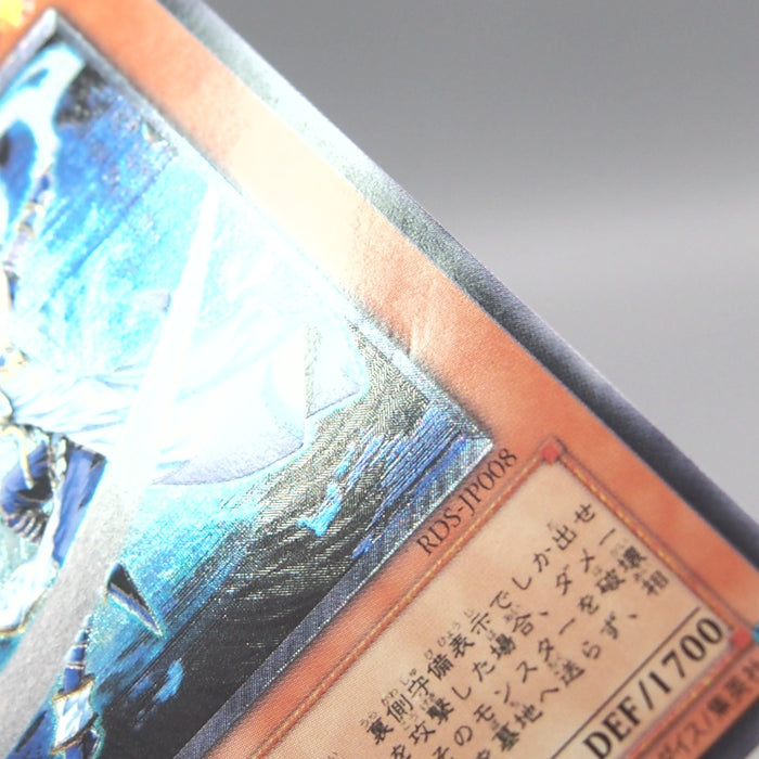 Image #7