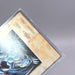 Image #9