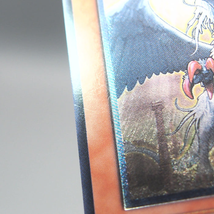 Image #7