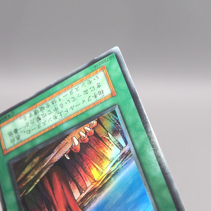 Image #10