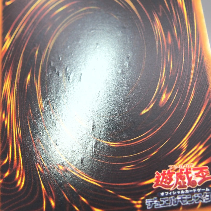 Image #10