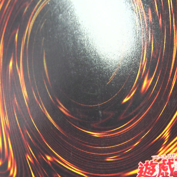 Image #13