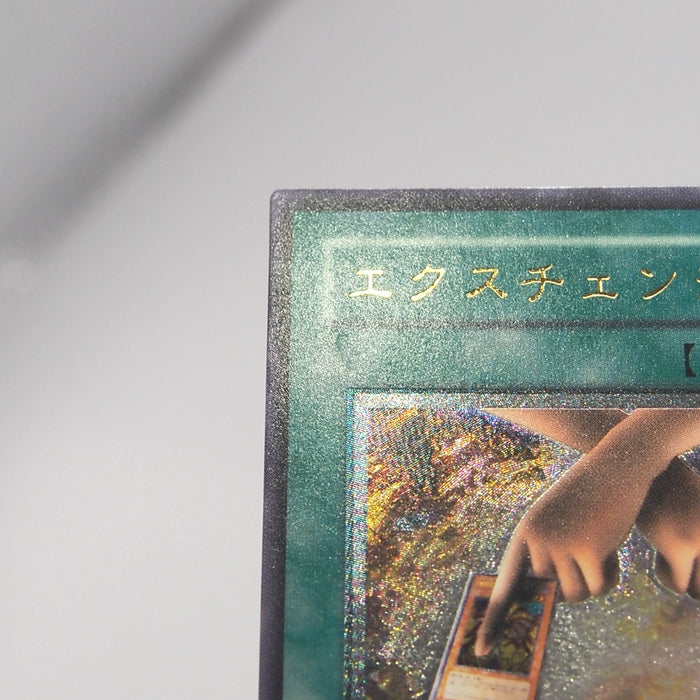 Image #7