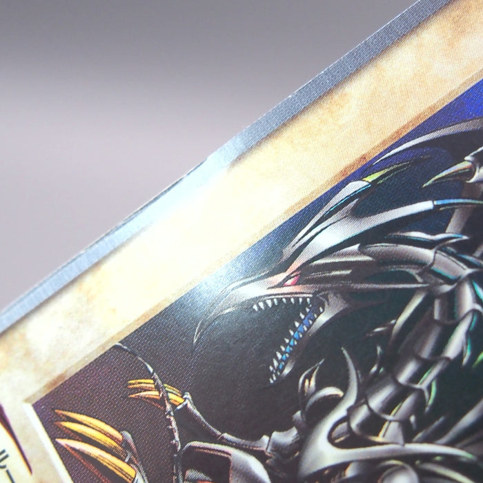 Image #8
