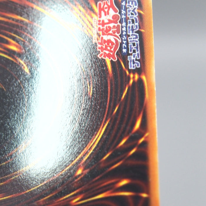 Image #11