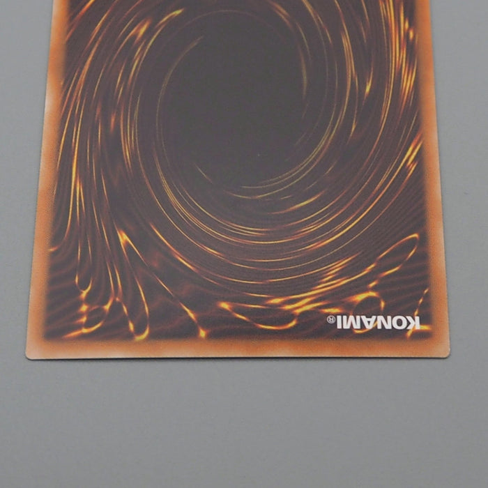 Yu-Gi-Oh Dark Magician Girl DP23-JP000 Ghost Holo Rare MINT Japanese r208 | Merry Japanese TCG Shop