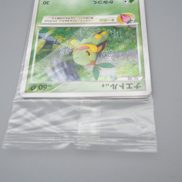 Pokemon Card Turtwig Chimchar Piplup 001-003/PPP Sealed Unopened Japanese P290 | Merry Japanese TCG Shop
