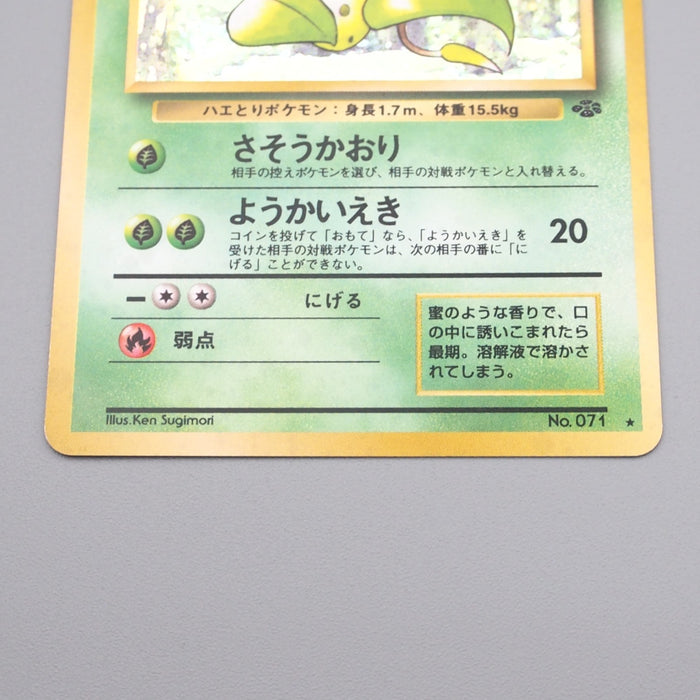Pokemon Card Victreebel Lv.42 No.071 Old Back Holo Rare NM Japanese r957 | Merry Japanese TCG Shop