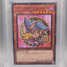 Yu-Gi-Oh PSA10 Dark Magician Girl 711E-JP002 Parallel Rare Japanese PS570 | Merry Japanese TCG Shop