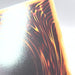 Image #9