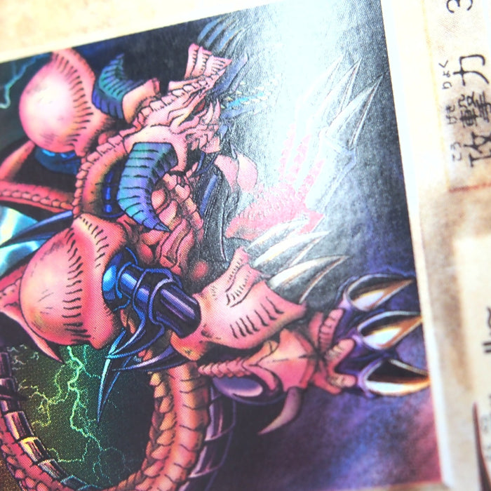 Image #8