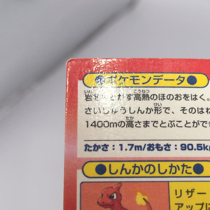 Image #12