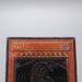 Yu-Gi-Oh Rainbow Dark Dragon PTDN-JP003 Ultimate Rare Near MINT Japanese i229 | Merry Japanese TCG Shop