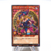 Yu-Gi-Oh yugioh Dark Magician Girl RD/G001-JP002 RUSH DUEL MINT Japanese i331 | Merry Japanese TCG Shop