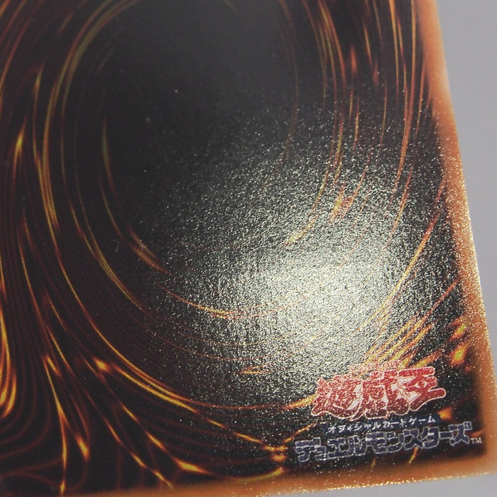 Image #10