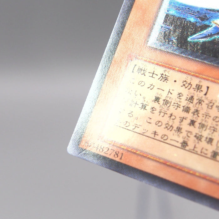 Image #12