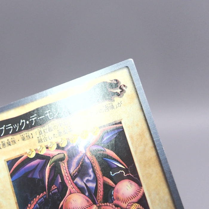 Image #8