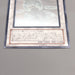 Yu-Gi-Oh Black-Winged Dragon TSHD-JP040 Ghost Rare 2010 MINT-NM Japanese u230 | Merry Japanese TCG Shop