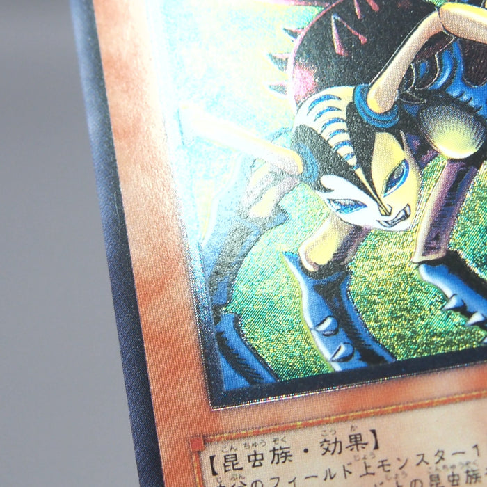 Image #7