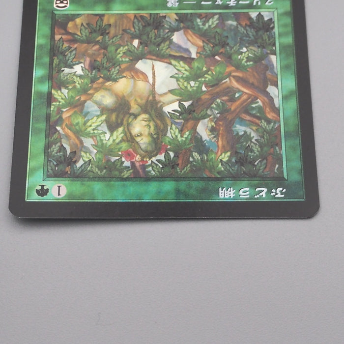 MTG Magic the Gathering Vine Trellis 285/350 Foil NM 1999 Japanese s732 | Merry Japanese TCG Shop