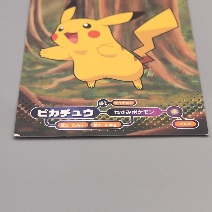 Pokemon Card Pikachu #064 Bromides Advance Generation 2005 EX Japanese M242 | Merry Japanese TCG Shop