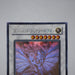 Yu-Gi-Oh Ancient Fairy Dragon ANPR-JP040 Holo Ghost Rare MINT-NM Japanese j817 | Merry Japanese TCG Shop