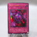 Yu-Gi-Oh yugioh Crush Card Virus P5-03 Ultra Parallel Rare EX-VG Japanese i600 | Merry Japanese TCG Shop