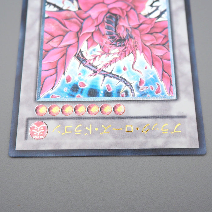 Yu-Gi-Oh Black Rose Dragon CSOC-JP039 Ultimate Rare 2008 MINT Japanese q371 | Merry Japanese TCG Shop